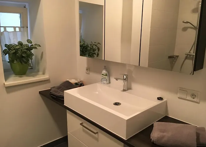 Enzinger * Bruck an der Mur